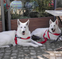 kurze Pause f&uuml;r alle